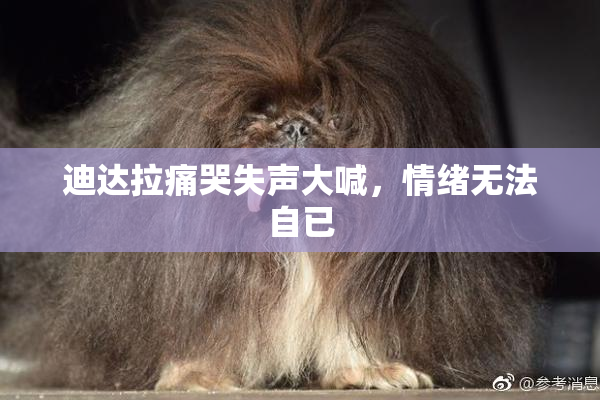 迪达拉痛哭失声大喊，情绪无法自已