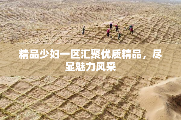 精品少妇一区汇聚优质精品，尽显魅力风采