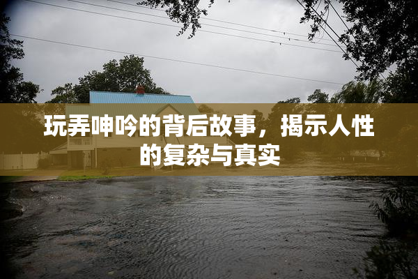 玩弄呻吟的背后故事，揭示人性的复杂与真实