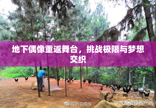 地下偶像重返舞台，挑战极限与梦想交织
