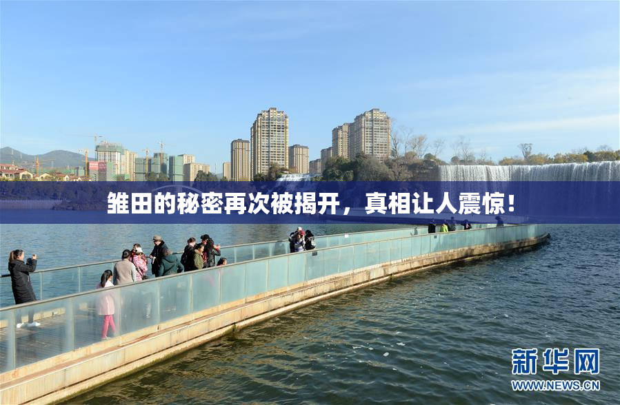 雏田的秘密再次被揭开，真相让人震惊！