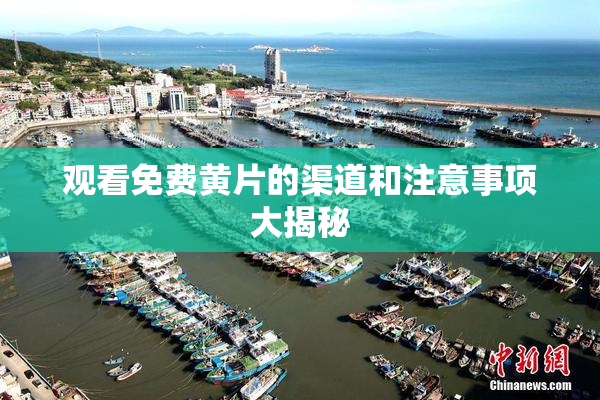 观看免费黄片的渠道和注意事项大揭秘
