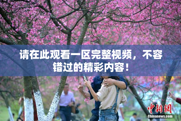 请在此观看一区完整视频，不容错过的精彩内容！