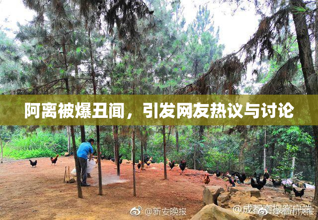 阿离被爆丑闻，引发网友热议与讨论