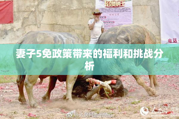 妻子5免政策带来的福利和挑战分析