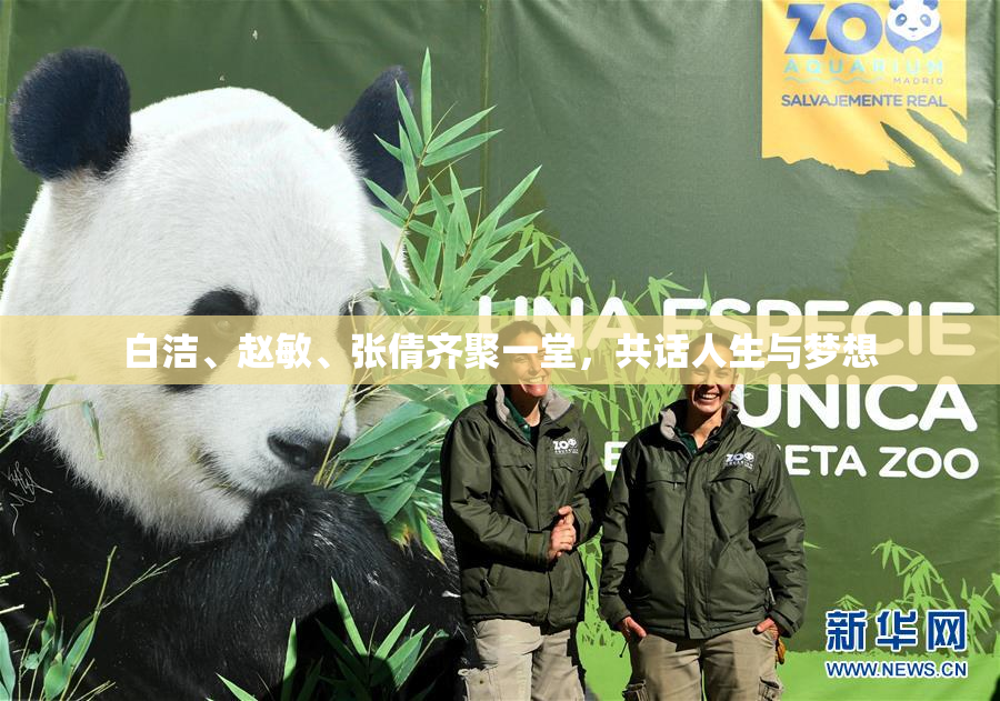 白洁、赵敏、张倩齐聚一堂，共话人生与梦想