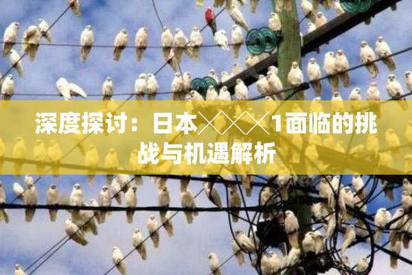深度探讨：日本╳╳╳1面临的挑战与机遇解析