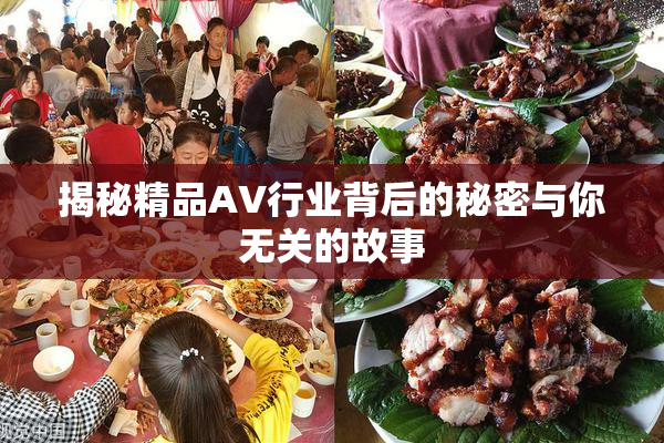 揭秘精品AV行业背后的秘密与你无关的故事