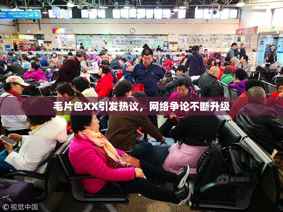 毛片色XX引发热议，网络争论不断升级