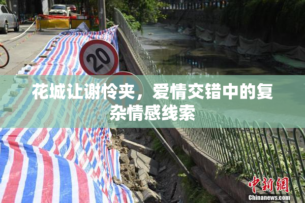 花城让谢怜夹，爱情交错中的复杂情感线索