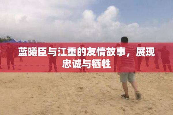 蓝曦臣与江重的友情故事，展现忠诚与牺牲