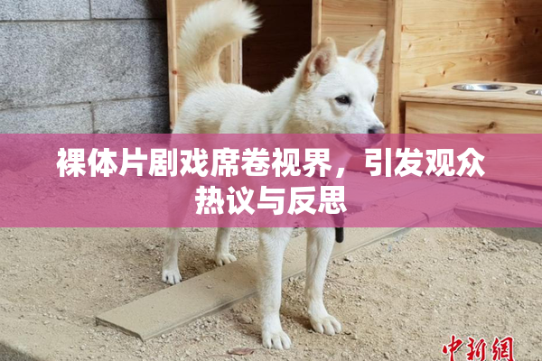 裸体片剧戏席卷视界，引发观众热议与反思