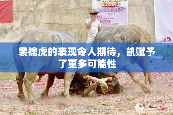 裴擒虎的表现令人期待，凯赋予了更多可能性