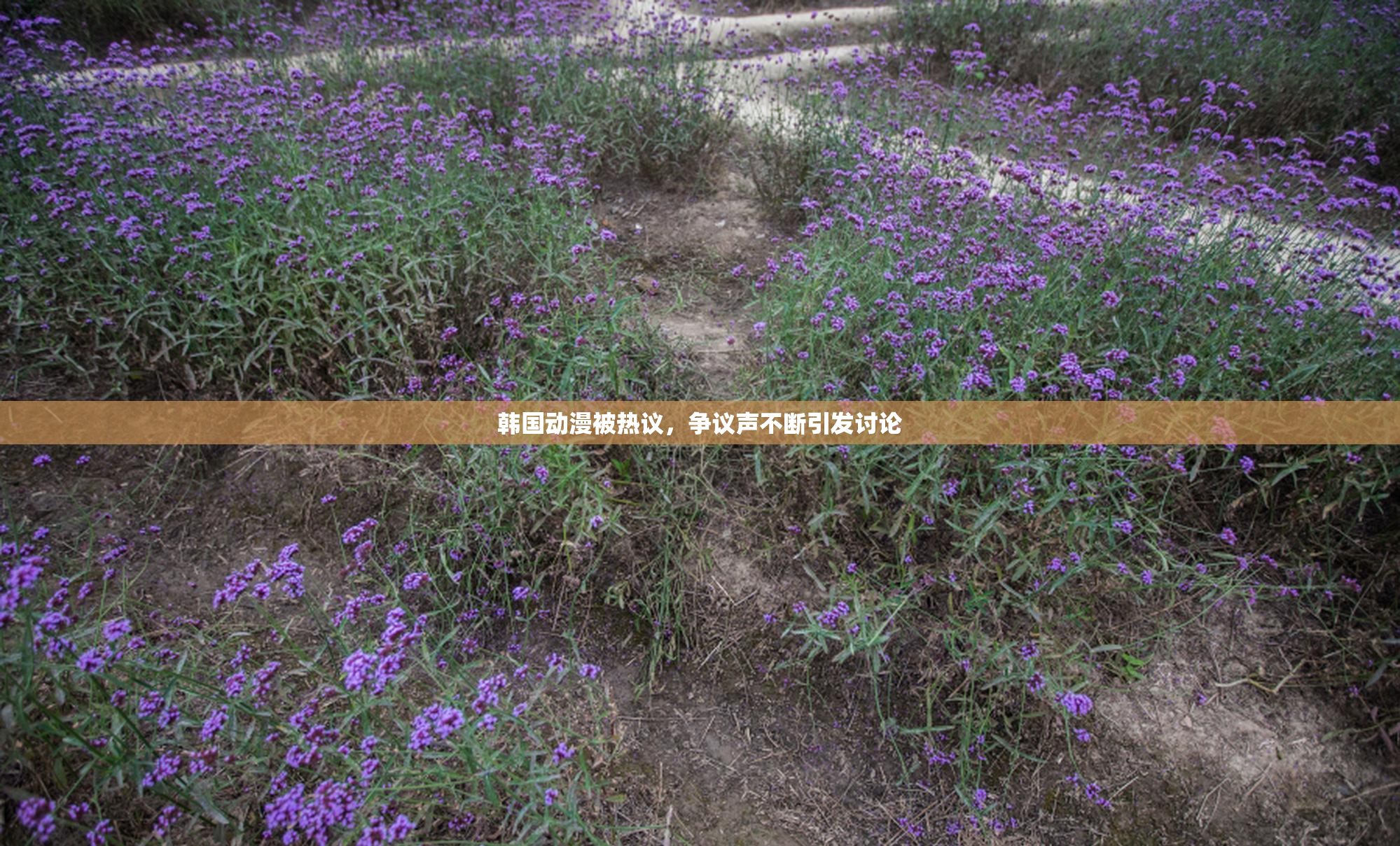 韩国动漫被热议，争议声不断引发讨论