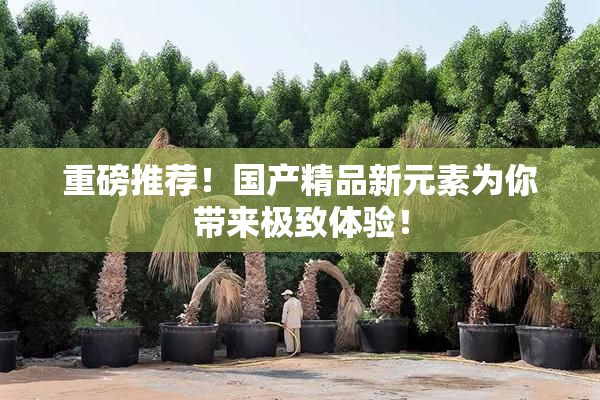 重磅推荐！国产精品新元素为你带来极致体验！
