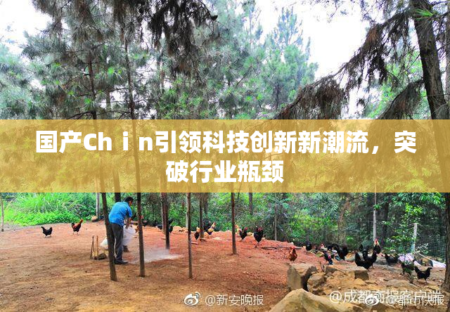 国产Chⅰn引领科技创新新潮流，突破行业瓶颈