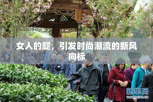 女人的腿，引发时尚潮流的新风向标
