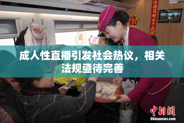 成人性直播引发社会热议，相关法规亟待完善