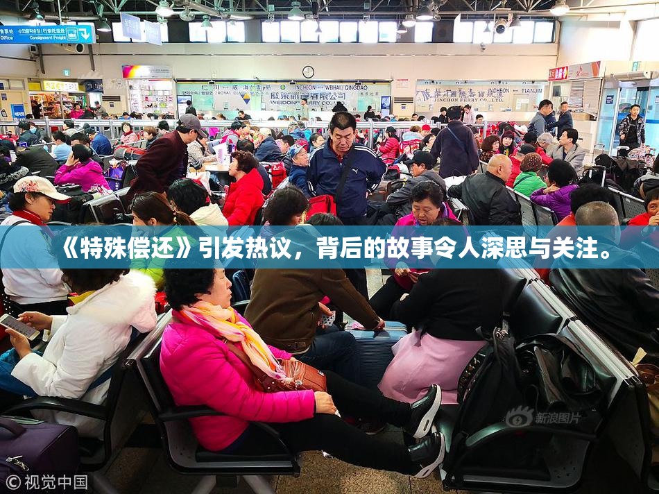 《特殊偿还》引发热议，背后的故事令人深思与关注。