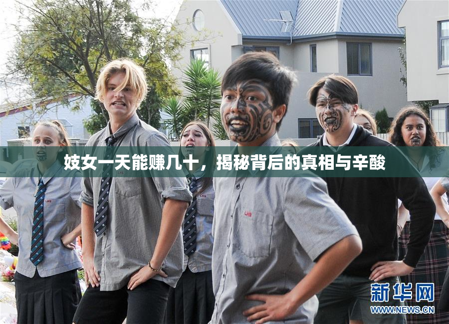 妓女一天能赚几十，揭秘背后的真相与辛酸