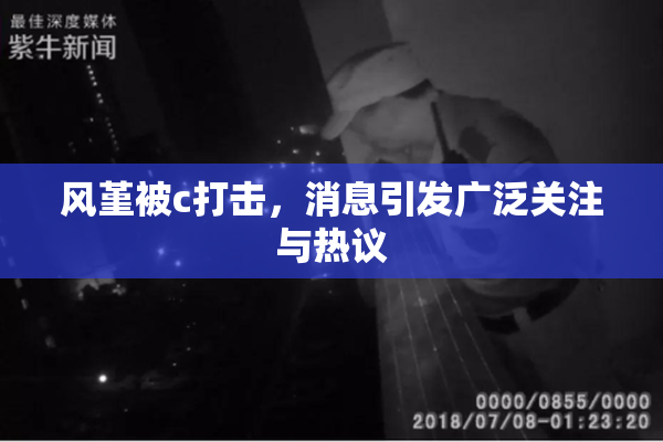 风堇被c打击，消息引发广泛关注与热议