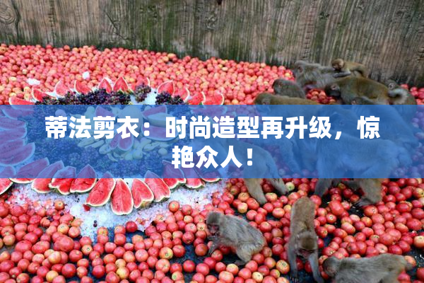蒂法剪衣：时尚造型再升级，惊艳众人！