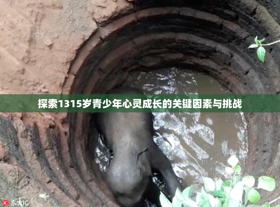 探索1315岁青少年心灵成长的关键因素与挑战