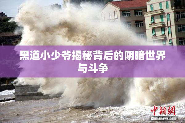 黑道小少爷揭秘背后的阴暗世界与斗争