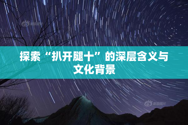 探索“扒开腿十”的深层含义与文化背景