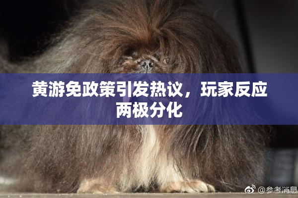 黄游免政策引发热议，玩家反应两极分化