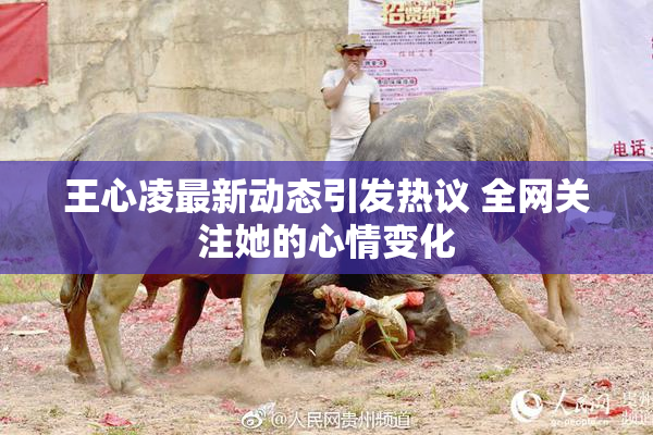 王心凌最新动态引发热议 全网关注她的心情变化
