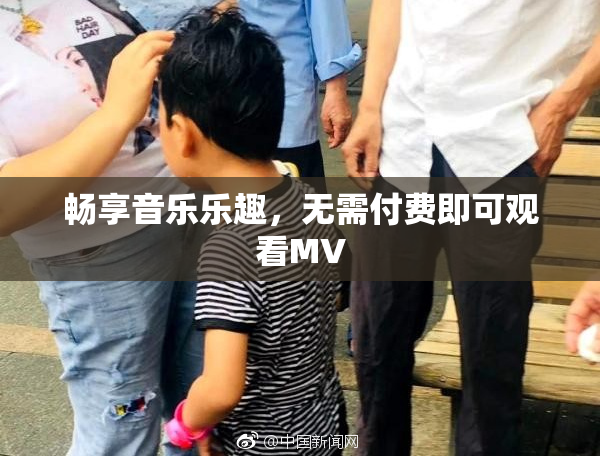 畅享音乐乐趣，无需付费即可观看MV