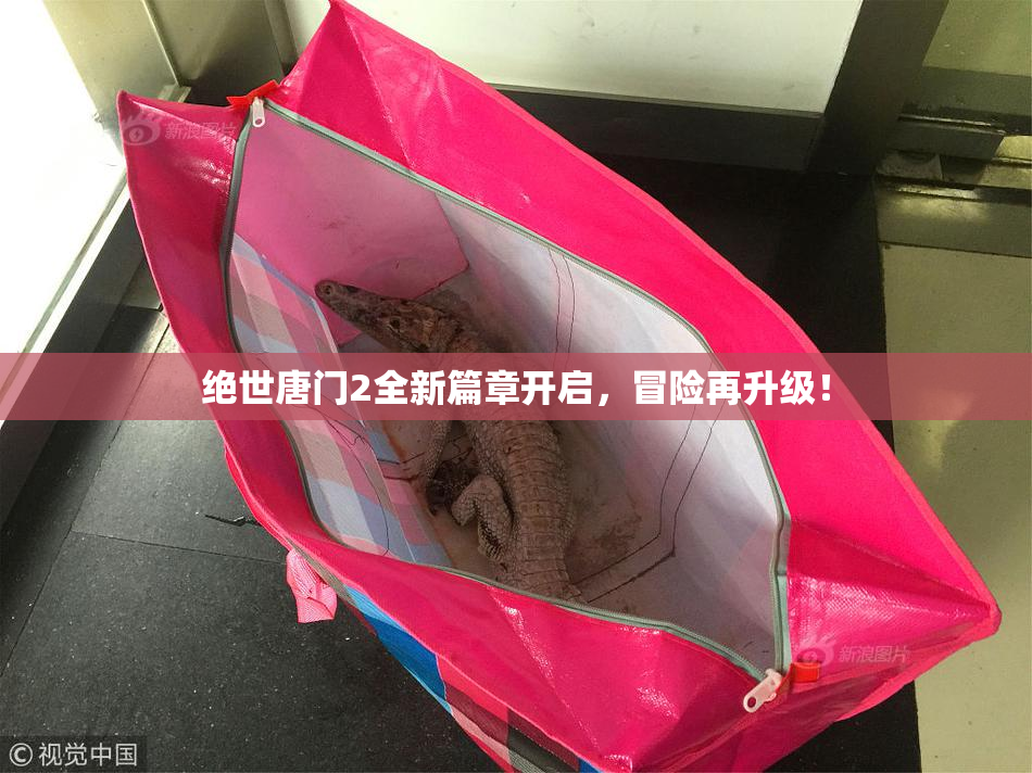 绝世唐门2全新篇章开启，冒险再升级！