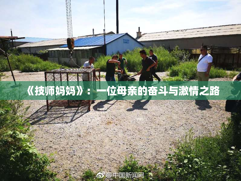 《技师妈妈》：一位母亲的奋斗与激情之路