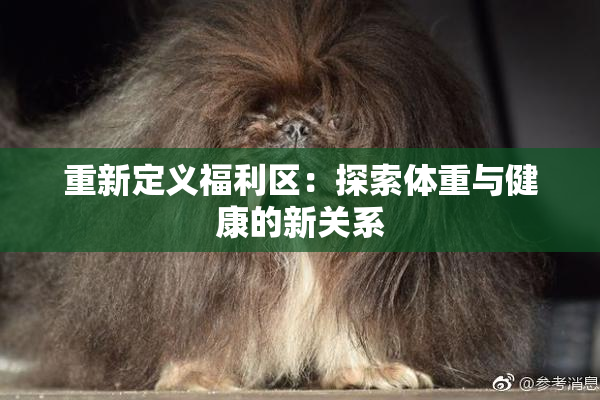 重新定义福利区：探索体重与健康的新关系