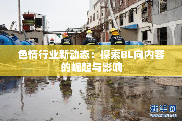 色情行业新动态：探索BL向内容的崛起与影响