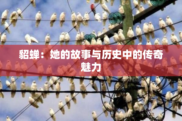貂蝉：她的故事与历史中的传奇魅力