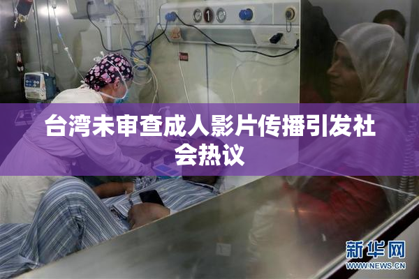 台湾未审查成人影片传播引发社会热议