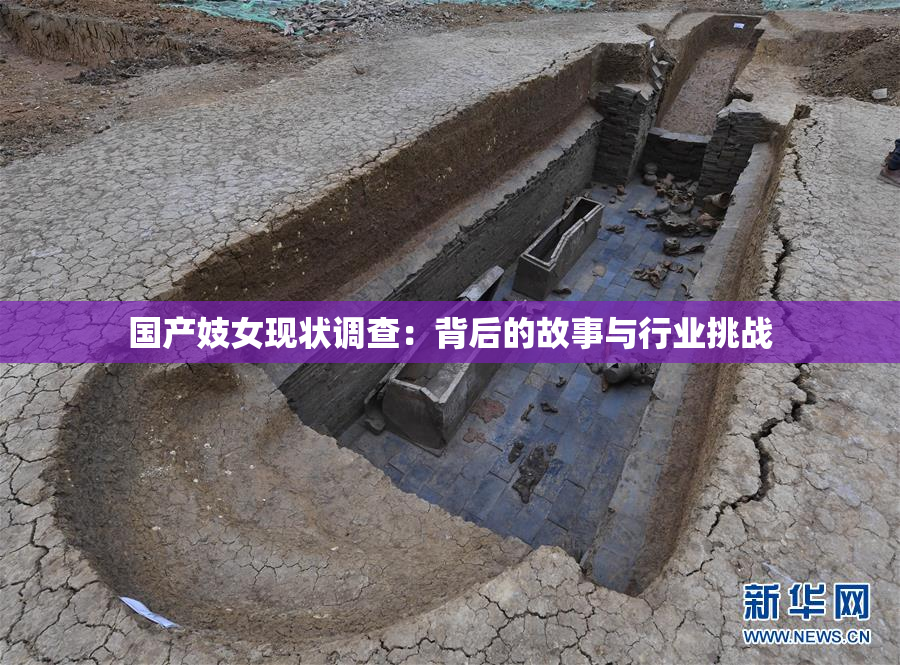 国产妓女现状调查：背后的故事与行业挑战