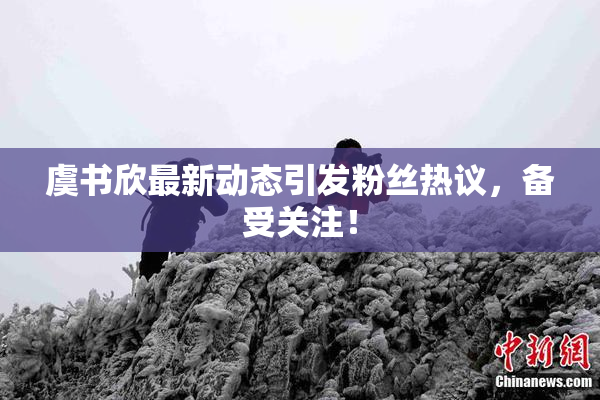 虞书欣最新动态引发粉丝热议，备受关注！