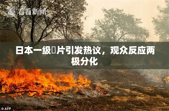 日本一级婬片引发热议，观众反应两极分化