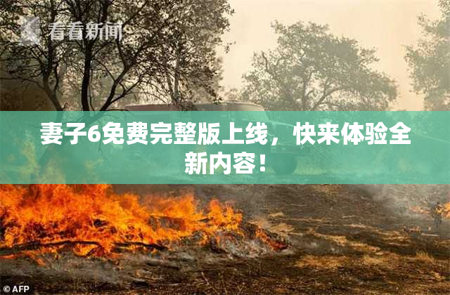 妻子6免费完整版上线，快来体验全新内容！