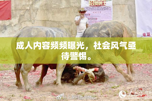成人内容频频曝光，社会风气亟待警惕。