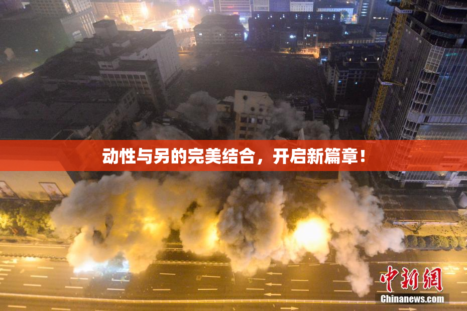 动性与另的完美结合，开启新篇章！