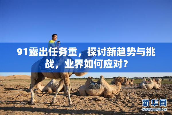 91露出任务重，探讨新趋势与挑战，业界如何应对？