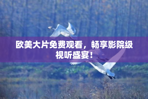 欧美大片免费观看，畅享影院级视听盛宴！