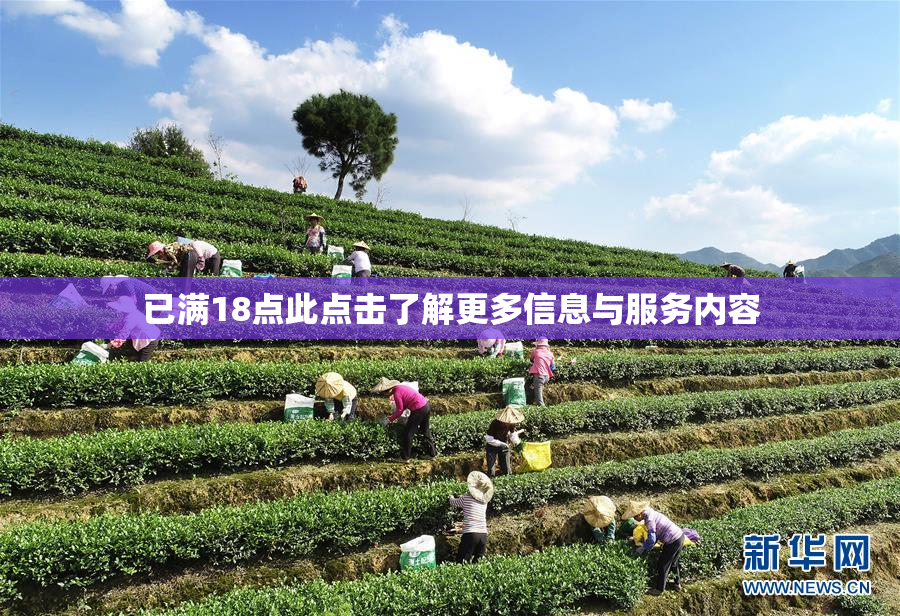 已满18点此点击了解更多信息与服务内容