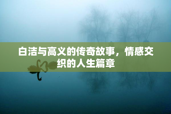 白洁与高义的传奇故事，情感交织的人生篇章