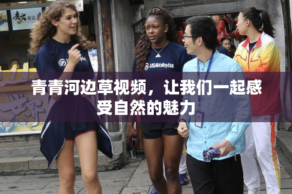 青青河边草视频，让我们一起感受自然的魅力