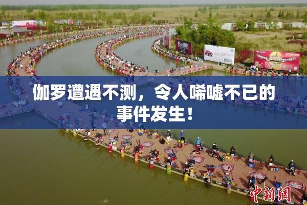 伽罗遭遇不测，令人唏嘘不已的事件发生！